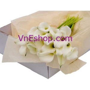 FLOWER BOX White Calla
