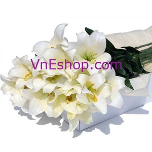 Hộp hoa Lys trắng