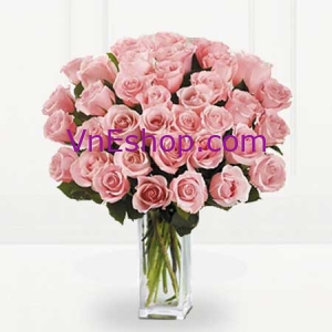 36 Long Stem Pink Roses
