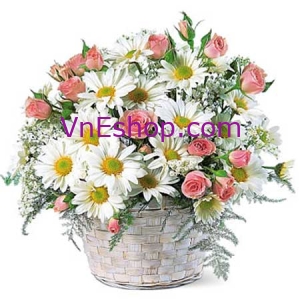 Hoa chia buồn