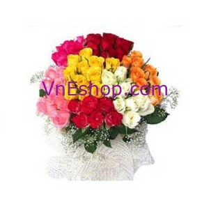 12 hồng màu