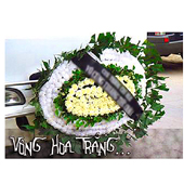 Giỏ , gửi  về Sai gon, Ha Noi, Nha Trang, Ba Ria Vung Tau, Viet Nam Gửi  về Việt Nam, gửi  về Sài Gòn, dịch vụ mua  qua mạng, giao  trong ngày, giao  tận nơi ở Hồ Chí Minh, Hà Nội, Vũng Tàu, Sài gòn, Nha Trang, Bà Rịa Vũng Tàu, Cần Thơ, Tiền Giang, Trà Vinh, Mỹ Tho, Đà Lạt, Biên Hòa, Bình Dương. Gửi  về Việtnam, mua  gửi  giao ngay,