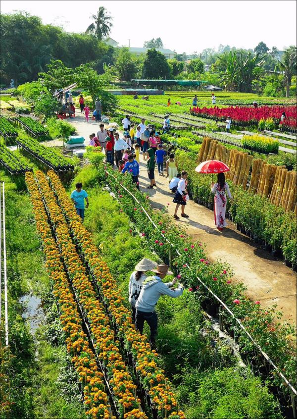 ’Dấu ấn Việt Nam’ trên làng hoa Sa Đéc hình ảnh 6