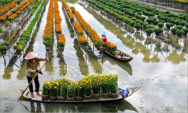 ’Dấu ấn Việt Nam’ trên làng hoa Sa Đéc hình ảnh 8