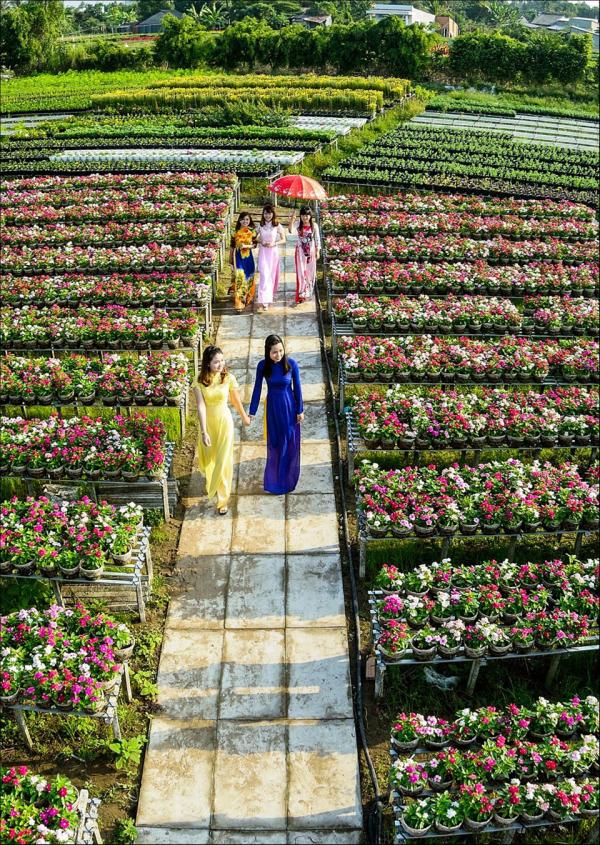 ’Dấu ấn Việt Nam’ trên làng hoa Sa Đéc hình ảnh 5